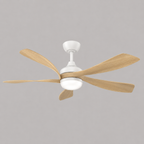 KAIA Ceiling Fan
