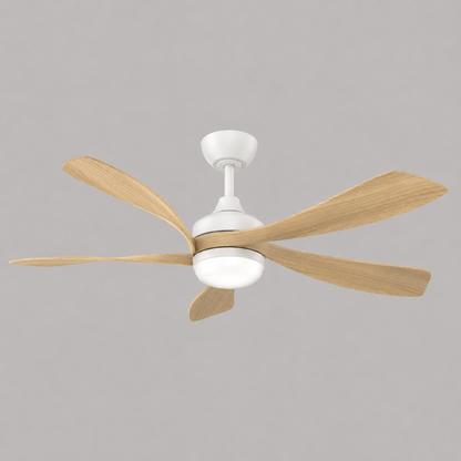 KAIA Ceiling Fan