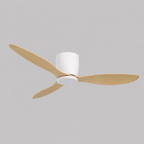MORI Ceiling Fan