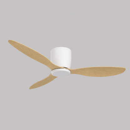 MORI Ceiling Fan
