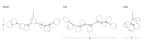 Modern Sputnik Smoky Gray/Amber Glass Branch Chandelier for Kitchen Island/Dining Room