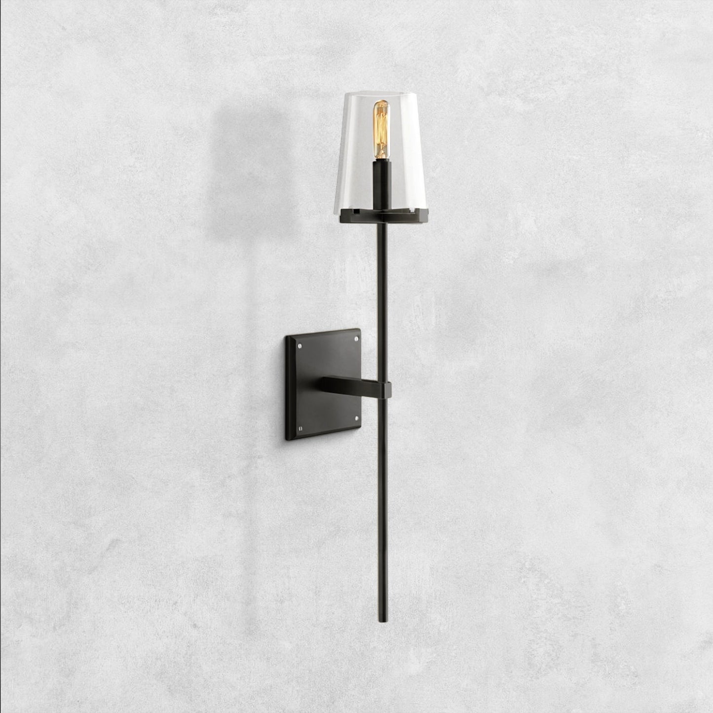 Pauilla Torch Clear Glass Sconce