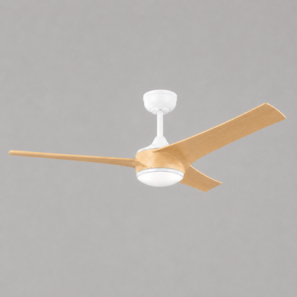 AERON Modern Ceiling Fan