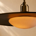 Argent Brass Finish Iron Pendant Light with Opal Glass Dome