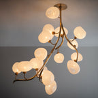 Modern Chandelier with Irregular Glass Lampshades and Brass Branches