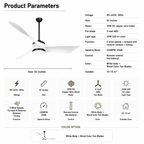 AXION Ceiling Fan