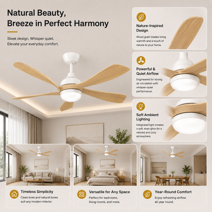 KAIA Ceiling Fan