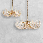 Adela 6 Light Chandelier