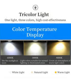 Bidi Multi Light Pendant Chandelier
