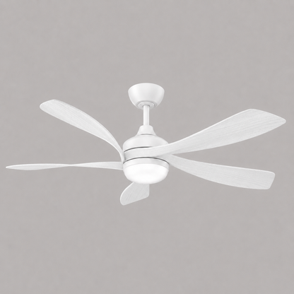 KAIA Ceiling Fan
