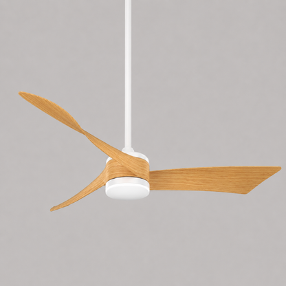 AXION Ceiling Fan