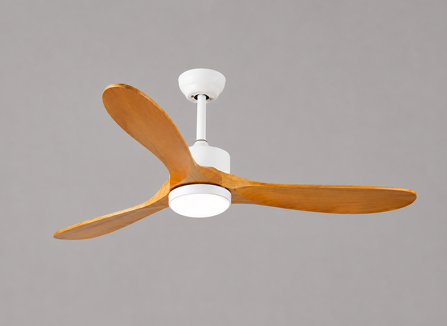 Venturoa Ceiling Fan