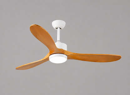 Venturoa Ceiling Fan