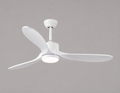 Venturoa Ceiling Fan