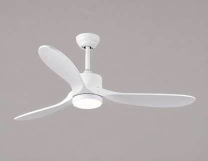 Venturoa Ceiling Fan