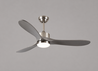Venturoa Ceiling Fan