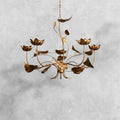 Ninfea Chandelier