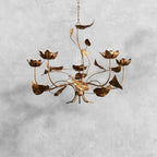 Ninfea Chandelier